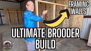 Building the ULTIMATE Chicken Brooder | Framing the Walls + Step-by-Step Build at Paragon Hatchery