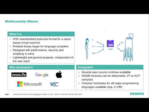 A Portable and Secure Package Format for Executable Simulation Modules based on WebAssembly