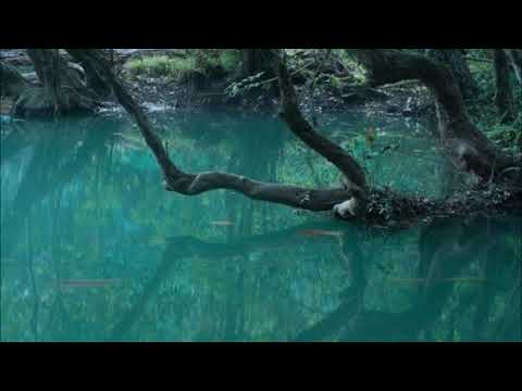 26. sincerityisdead - 簡単に [simply] [26.01.2015]