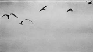 Sorrow - Nomadic Man