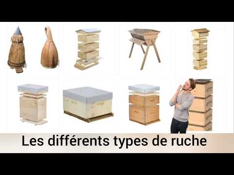 , title : 'Les différents types de ruche en apiculture, leurs avantages et les inconvénients'