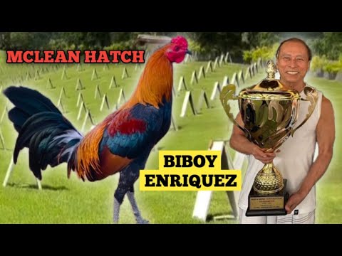 BIBOY ENRIQUEZ - HINDI IPAG PAPALIT SA KAHIT ANONG HATCH ANG KANYANG MCLEAN HATCH!