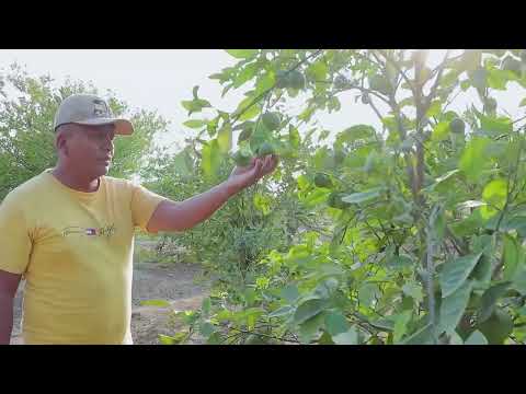 Gestión en  Arenillas por parte de Prefectura de El Oro