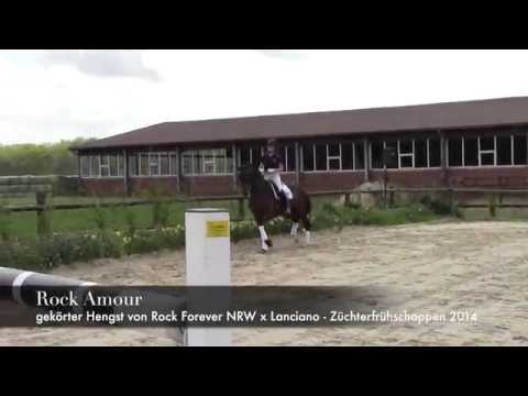 Rock Amour, Züchterfrühschoppen 2014