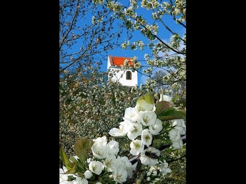 Z DÁVNÝCH DNŮ (ONLY YOU) KAREL GOTT