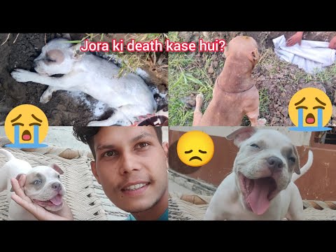 Jora Ke Death kaise Hui ?