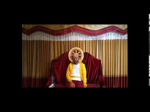 Guided Meditation | 11-12-2021