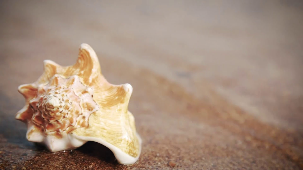 Company Profile - Effepi Security Doors - Armoured Doors Made in Italy