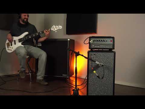 "Ampeg: Micr VR & Cabinet SVT 210AV"