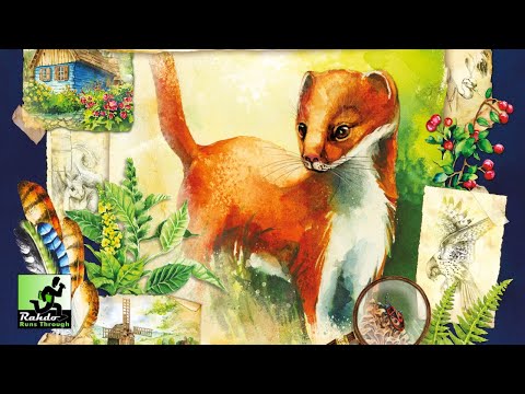 Meadow | Rahdo's Final Thoughts