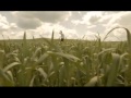 Крум - Ще ме търсиш 