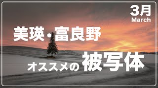 3月の美瑛・富良野で撮るオススメの被写体〜融雪剤散布と雪解けの丘〜