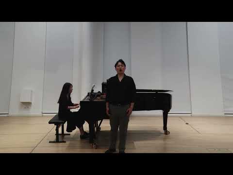 W. A. Mozart — Aprite un po' quegli occhi (Figaro)