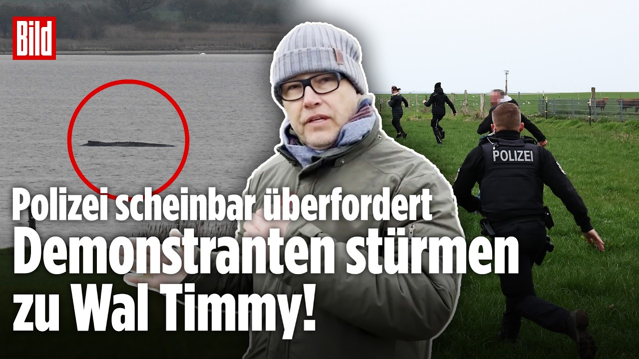Wal Timmy: Demonstranten durchbrechen Absperrung! Polizei scheinbar überfordert!