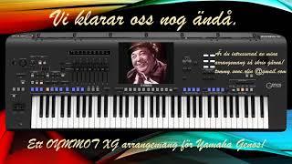 Vi klarar oss nog ändå