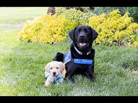 Southeast Region February 11, 2022 Team Training Graduation Ceremony