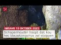Urker gepakt voor verbranden Israëlische vlaggen en kou gaat blauwtong verdrijven | Dit is Flevoland