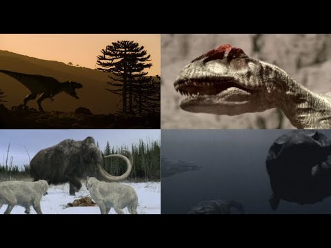 Walking With Series | All Endings