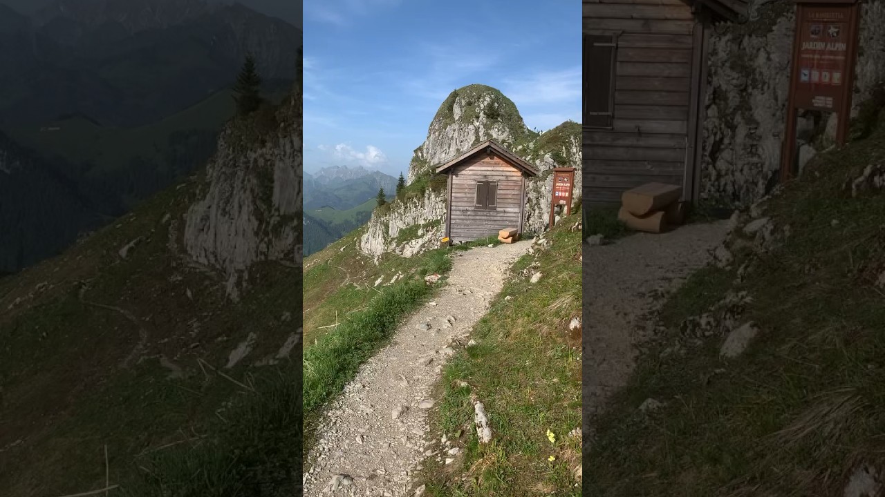 YouTube Short thumbnail