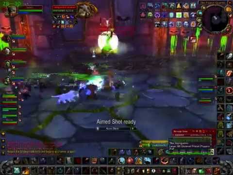 SEBRON's guild vs Heigan the unclean 25 man