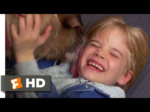 今、話しているのは誰だ』（1993年）-犬を飼うシーン（2/10）｜Movieclips (Look Who's Talking Now (1993) - Adopting a Dog Scene (2/10) | Movieclips)