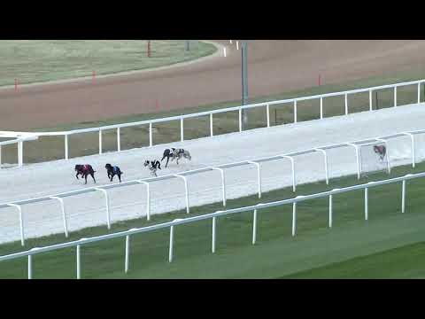 2019.05.03. Agár futam