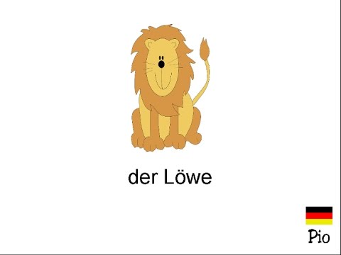 lezione di tedesco 10 - vocabolario - glia animali