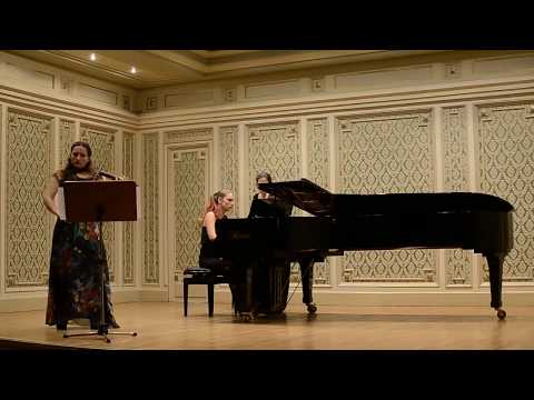 Schubert - Violin Sonatina in D major, op. 137, first movement