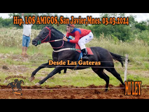 MI LEY - CLASICO CENTRAL . HIPICO LOS AMIGOS, SAN JAVIER, MISIONES 03.03.2024