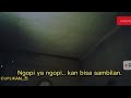 NIAT MAU NGOPI MALAH DIPAKSA DIAJAK ANU Wik Wik
