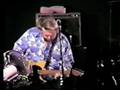 NRBQ - Here Comes Terry - Live Opening Song