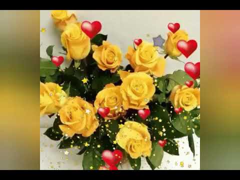 "ВСЕМ ПРИВЕТ" ВИДЕОПОЖЕЛАНИЕ !!!