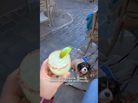 Top 10 margaritas in Santa Fe #margarita #cocktail