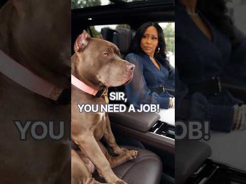 That look when you tell him he can't sit in the front seat 😂 #pitbull #doghumor #funnydogs