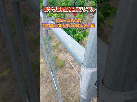 農地に温室を設置する 電気加熱には電力接続が必要
