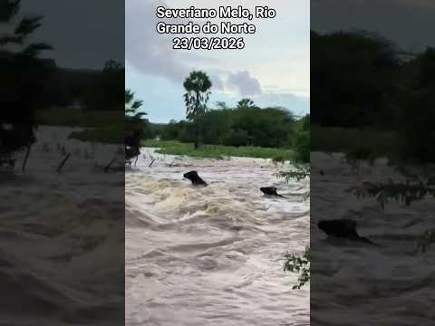 🇧🇷160 MILÍMETROS EM SEVERIANO MELO, RIO GRANDE DO NORTE 23.03.2026