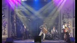 Hubert von Goisern und die Alpinkatzen - Goasbeitl-Bauernbuam