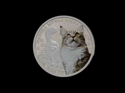 Stříbrná mince Kočičí plemena - Mainská mývalí kočka 1 oz proof 2024