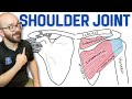 Anatomy Of The Shoulder Joint Bones Ligaments And Muscles