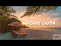 Ariel wayz - wowe gusa (lyrics)