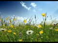 Gerli Padar & The Moon - Lilleke rohus 