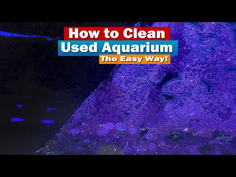 How to Clean a Used Aquarium - The Easy Way!