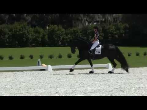 Godiva ISF at Iron Spring South, March 2015 - SOLD!