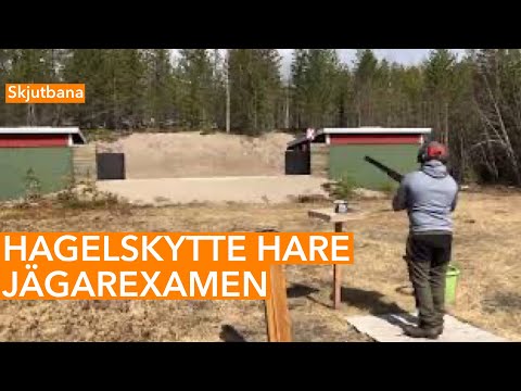 Hagelskytte Hare - Jägarexamen