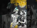 Murali Mogha WhatsApp Status