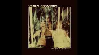Venus Bogardus : Permanent Notice