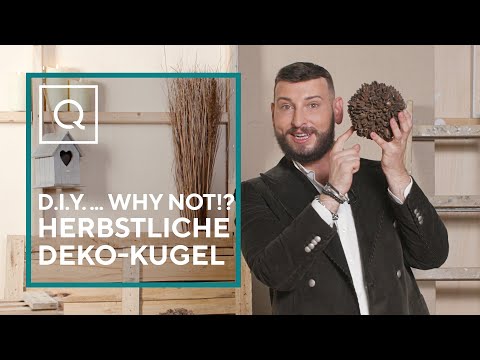 Deko-Kugel aus Bucheckern: Wie du dein Zuhause herbstlicher gestalten kannst | Tipps & Tricks | QVC
