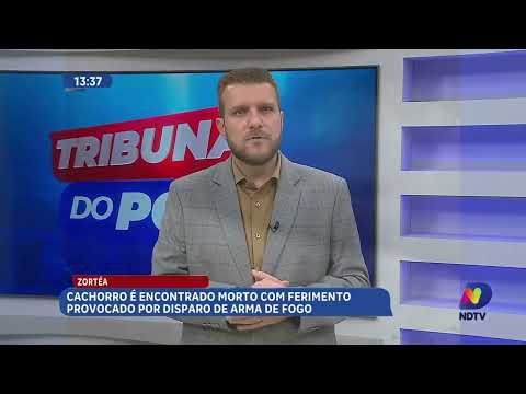 Cachorro é morto a tiros e encontrado em rua de Zortéa