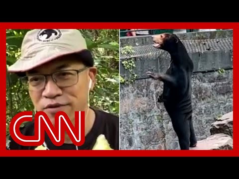 Biologist weighs in on the viral sun bear video from Chinese zoo