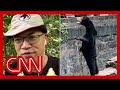 Biologist weighs in on the viral sun bear video from Chinese zoo